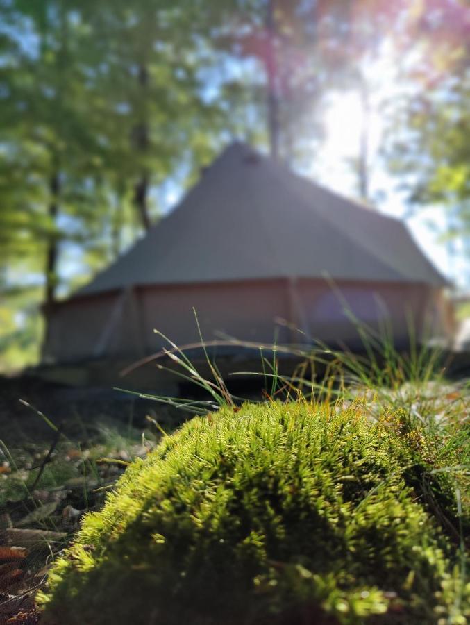Naturglamping Κρίστιανσταντ Εξωτερικό φωτογραφία